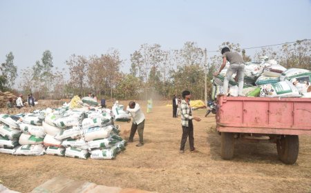 पुनरीक्षण कार्य में गलत जानकारी पर होगी सजा*