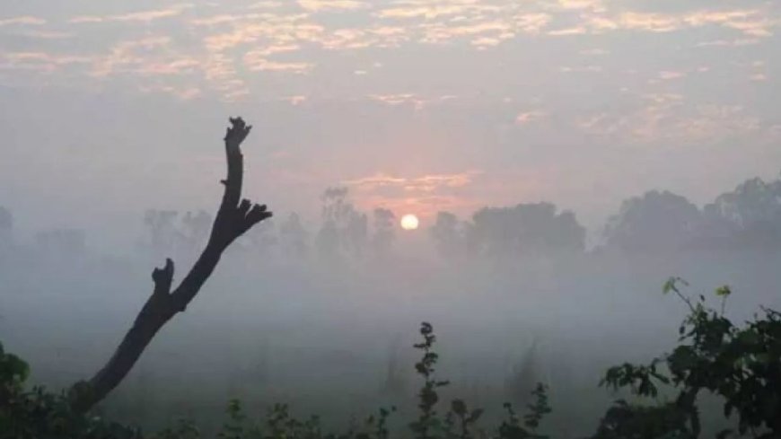 मौसम का नया करवट: बारिश के बाद 5 नवंबर से ठंड की दस्तक, जानिए आपके शहर का हाल