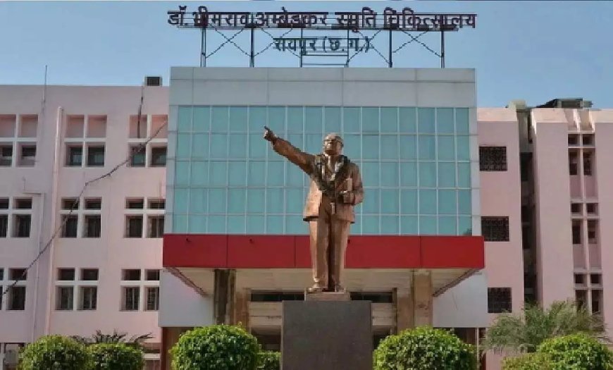 Raipur News: मेकाहारा अस्पताल में डस्टबिन से नवजात शिशु का शव मिला, पुलिस जांच में जुटी