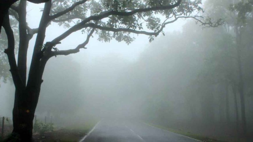 छत्तीसगढ़ में बढ़ी ठंड: अगले हफ्ते से और गिरेगा तापमान, मौसम विभाग ने दी चेतावनी