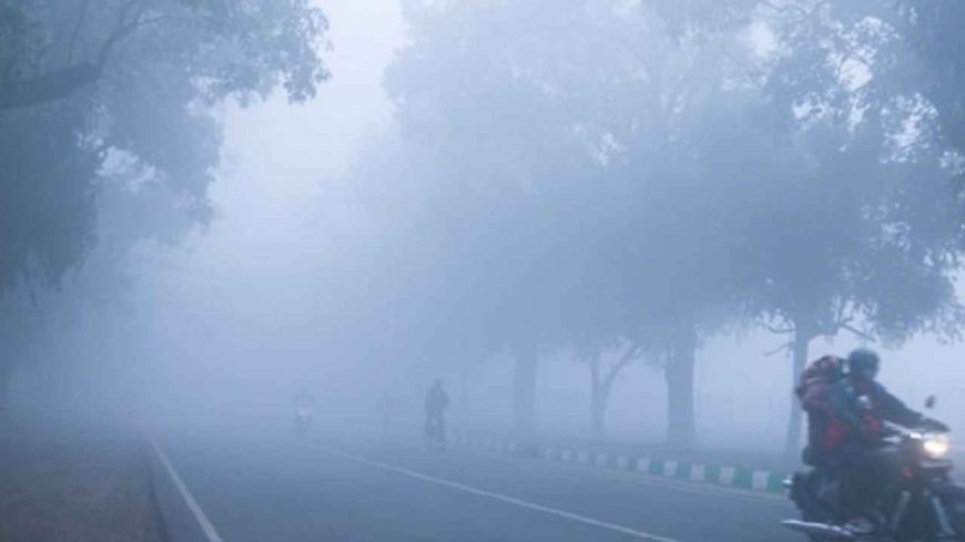 ठंडी हवाओं से कांपा छत्तीसगढ़, मौसम विभाग ने 9 जिलों में शीतलहर अलर्ट किया जारी