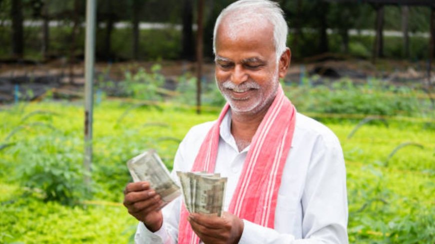किसानों के लिए खुशखबरी...13 नवंबर को CM जारी करेंगे 300 करोड़ रुपये...जानिए कैसे मिलेगा पैसा