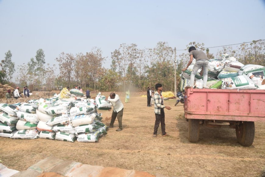 पुनरीक्षण कार्य में गलत जानकारी पर होगी सजा*