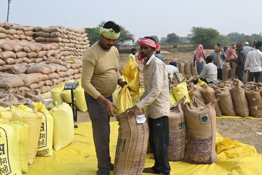 अब तक 28031 मीट्रिक टन धान की खरीदी