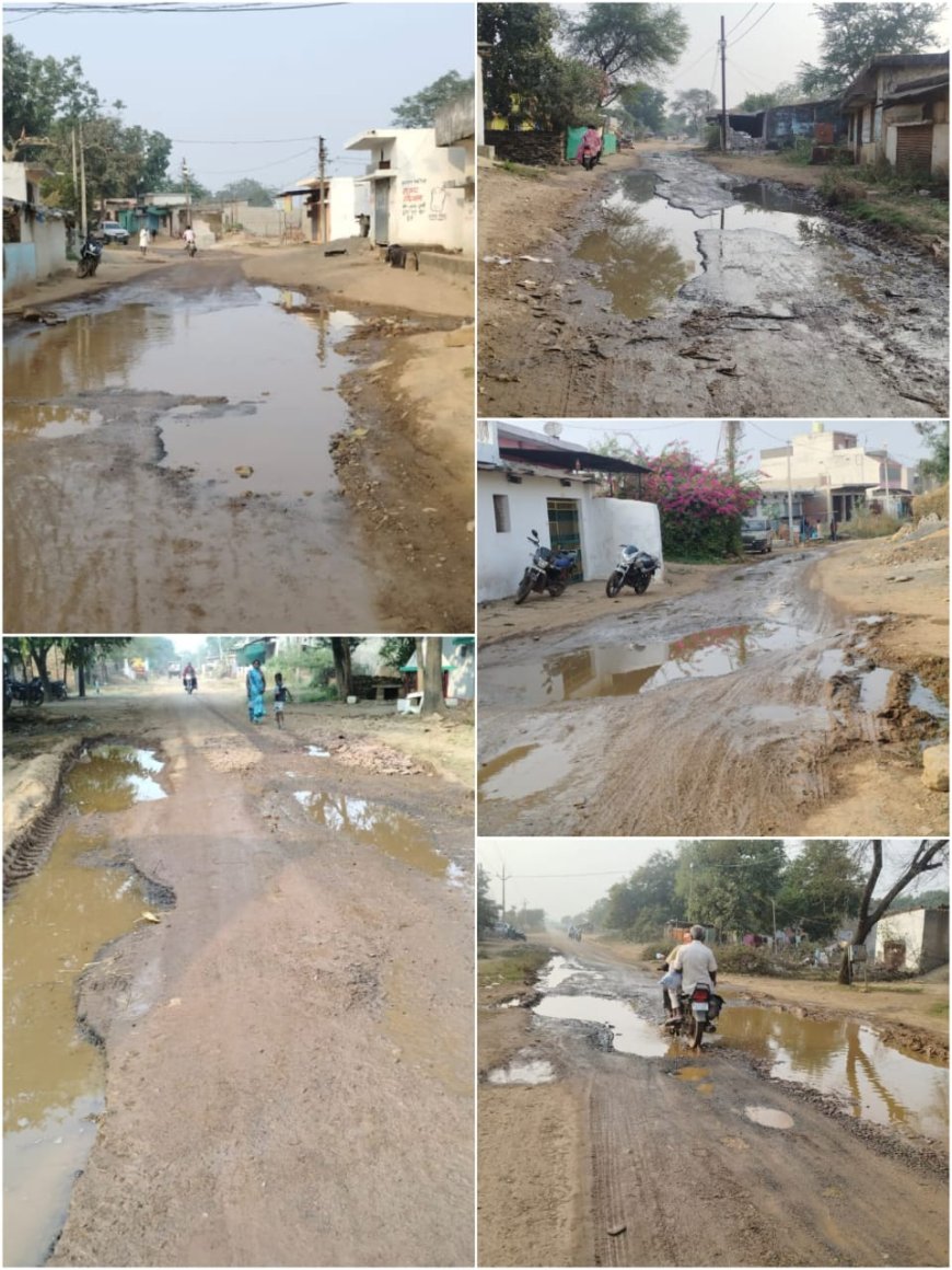 बिल्हा विधानसभा के तीन ग्राम पंचायत की सड़क पर गड्ढे ही गड्ढे...हादसे का डर - कब जागेगा प्रशासन ?