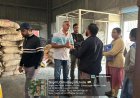 भुना चना निर्माता फर्मों पर खाद्य विभाग की छापामार कार्रवाई...1 लाख से ज्यादा मूल्य के 1350 किग्रा भुना चना जब्त