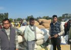 पुराने व गुणवत्ता-हीन धान की बिक्री पर प्रशासन सख्त...उपार्जन केंद्र कुल्हरिया में  85 बोरी धान किया गया जब्त