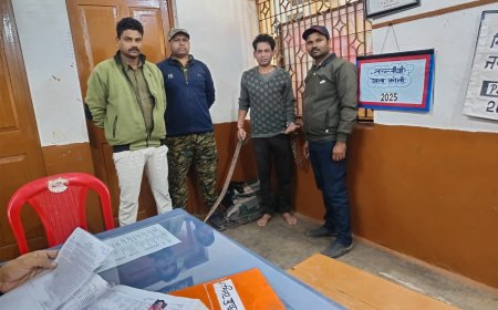 कोनी पुलिस की कार्रवाई:धान मंडी के सामने दहशत मचाने वाला युवक आर्म्स एक्ट में गिरफ्तार