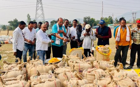 बोईदा में धान खरीदी का शुभारंभ विधायक प्रतिनिधि दुष्यंत शर्मा ने किया...झांझ के किसान ने 44 क्विंटल 40 किलो बेचा पहला धान हुई बोहनी