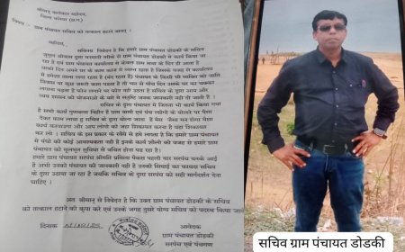 ग्राम पंचायत डोड़की के सचिव को हटाने की मांग...सरपंच ने कलेक्टर को सौंपा आवेदन