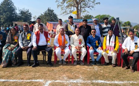 जिले के डौण्डी विकासखण्ड के ग्राम साल्हे में किया गया सांसद खेल महोत्सव का आयोजन