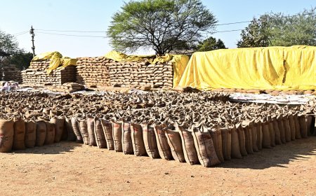 धान खरीदी केंद्र बोईदा में टोकन जनरेशन में तकनीकी दिक्कत,किसान तूंहर ऐप में एरर,किसानों को हो रही परेशानी