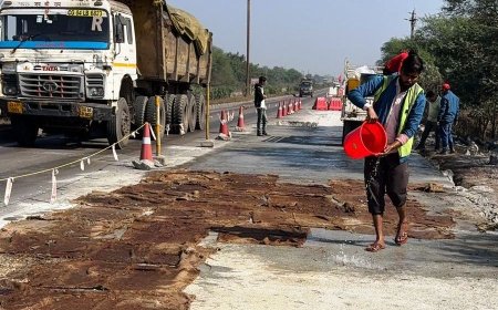 रायपुर-बिलासपुर हाइवे : ब्लैक स्पॉट्स में अंडरपास और सर्विस लेन निर्माण, हाइवे को मवेशीरहित बनाने की कोशिश...रिकॉर्ड वृक्षारोपण से मनमोहक हुआ सफर...सुरक्षित और निर्बाध सफर के लिए एनएचएआई द्वारा किए जा रहे कई काम