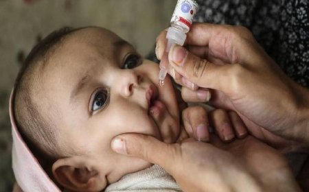 21 दिसंबर को जिले में पल्स पोलियो अभियान...2.78 लाख बच्चों को पिलाई जाएगी पोलियो ड्रॉप