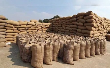 कोरबा जिले में 24 दिसंबर तक किसानों से 809898.40 क्विंटल धान की हुई खरीदी