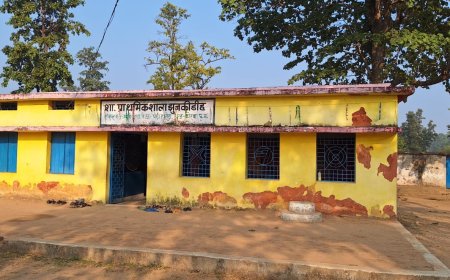 एकलशिक्षकीय व्यवस्था से मिली मुक्ति - झुनकीडीह के विद्यार्थियों की चमकी किस्मत