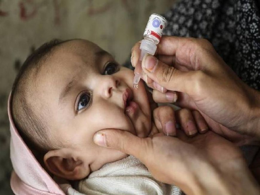 21 दिसंबर को जिले में पल्स पोलियो अभियान...कलेक्टर ने अधिकारियों को सौंपी जिम्मेदारी, 2.78 लाख बच्चों को पिलाई जाएगी पोलियो ड्रॉप