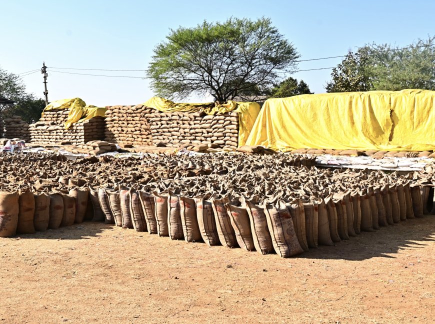 धान खरीदी केंद्र बोईदा में टोकन जनरेशन में तकनीकी दिक्कत,किसान तूंहर ऐप में एरर,किसानों को हो रही परेशानी