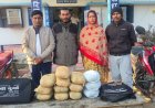 अवैध मादक पदार्थ गांजा पर बेलगहना पुलिस का बड़ा प्रहार, 6.50 लाख के गांजा सहित 8.41 लाख की संपत्ति जप्त