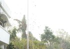 जिला कार्यालय कोरबा में कलेक्टर कुणाल दुदावत ने किया ध्वजारोहण