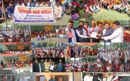 दमनकारी सरकार के आगे निरंतर जारी रहेगा लिंगीयाडीह बचाओ आंदोलन ..दिलीप पाटिल