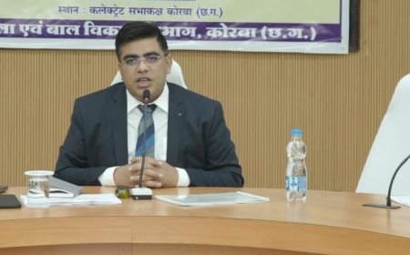 आंगनबाड़ी के माध्यम से शासन की योजनाओं का शत-प्रतिशत क्रियान्वयन सुनिश्चित करें : कलेक्टर