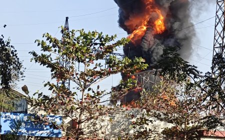 मोपका धान मंडी रोड स्थित पावर हाउस में भीषण आग, इलाके में हड़कंप