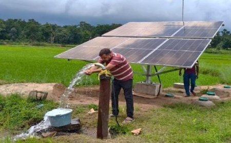 सौर सुजला योजना ने बदली किस्मतः केंदई की बधानो बिंझवार बनीं आत्मनिर्भर किसान