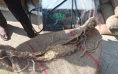 *निरधी धान उपार्जन केंद्र में तौल को लेकर किसानों में असंतोष*