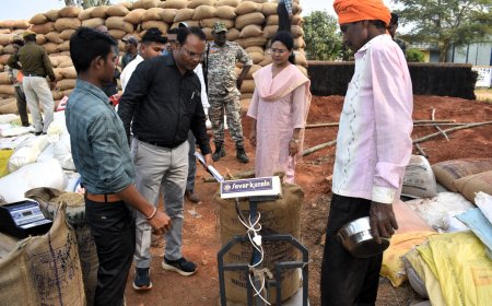 कलेक्टर ने धान खरीदी केन्द्र घोटिया, पटेली, कुआगोंदी एवं सुरडोंगर का आकस्मिक निरीक्षण कर व्यवस्थाओं का लिया जायजा धान खरीदी के कार्य को व्यवस्थित ढंग से संपन्न करने तथा रकबा समर्पण कार्य को विशेष प्राथमिकता के साथ पूरा कराने के दिए निर्देश