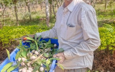 सफलता की कहानी -तसर पालन ने बदल दी जिंदगी - ग्राम सलोरा के किसान भरत राम केवट बने आत्मनिर्भर