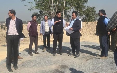 कलेक्टर द्वारा पुनर्वास ग्रामों एवं सड़कों के निर्माण कार्यों का निरीक्षण