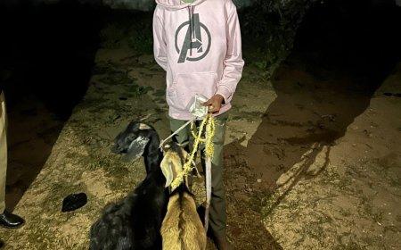 तखतपुर पुलिस द्वारा बकरी चोरी करने वाले शातिर चोर को गिरफ्तार कर भेजा जेल