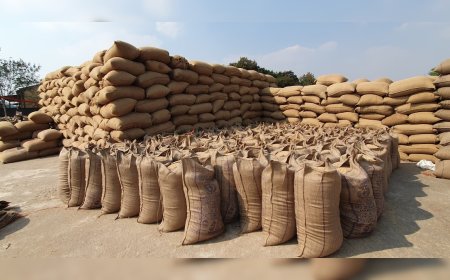 जिले में अब तक किसानों से 1644752 क्विंटल धान की हुई खरीदी...उपार्जन केंद्रों से 66.27 प्रतिशत धान का हुआ उठाव