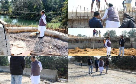 उप मुख्यमंत्री अरुण साव ने पुल निर्माण कार्य का किया औचक निरीक्षण...अधिकारियों को गुणवत्तापूर्ण कार्य, संकेतक बोर्ड लगाने और समय-सीमा में काम पूर्ण करने के दिए निर्देश