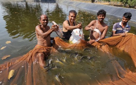 बॉयोफ्लॉक तकनीक से मछली पालन कर संजय सुमन ने कमाए साल में 3.20 लाख
