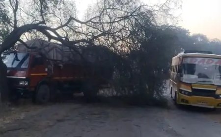 शराब से भरी गाड़ी शराबियों की तरह टकराई पेड़ से