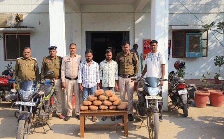 रतनपुर पुलिस की बड़ी कार्रवाई, 14 किलो गांजा जब्त, दो तस्कर गिरफ्तार