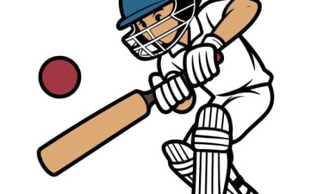 22 जनवरी से सीपत क्रिकेट प्रतियोगिता,इनामों की होगी बौछार