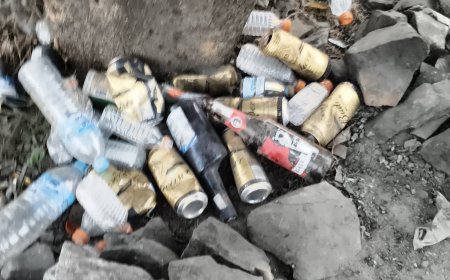 देवरी–चिचोली पिकनिक स्पॉट बना कचरा और टूटे शराब की बोतलों का अड्डा, बच्चों की सुरक्षा पर खतरा