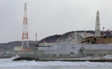 जापान 21 जनवरी को दुनिया के सबसे बड़े परमाणु संयंत्र को फिर से चालू करेगा।