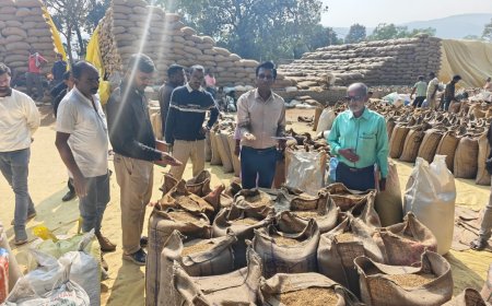 पोड़ी उपरोड़ा एसडीएम राजस्व एवं मंडी टीम की संयुक्त कार्रवाई...उपकेंद्र तुमान में 12 किसानों से लगभग 1000 क्विंटल रकबा समर्पण, अमानक धान की हो रही वापसी