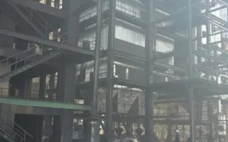 रियल इस्पात एंड एनर्जी का किल्न क्रमांक-01 सील, संचालन व मेंटेनेंस पर प्रतिबंध