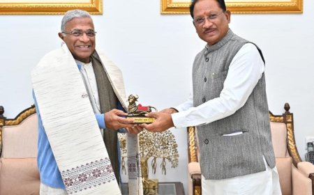 रायपुर : मुख्यमंत्री विष्णुदेव साय से राज्यसभा के उप सभापति हरिवंश ने की सौजन्य मुलाकात