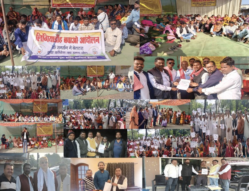 दमनकारी सरकार के आगे निरंतर जारी रहेगा लिंगीयाडीह बचाओ आंदोलन : दिलीप पाटिल