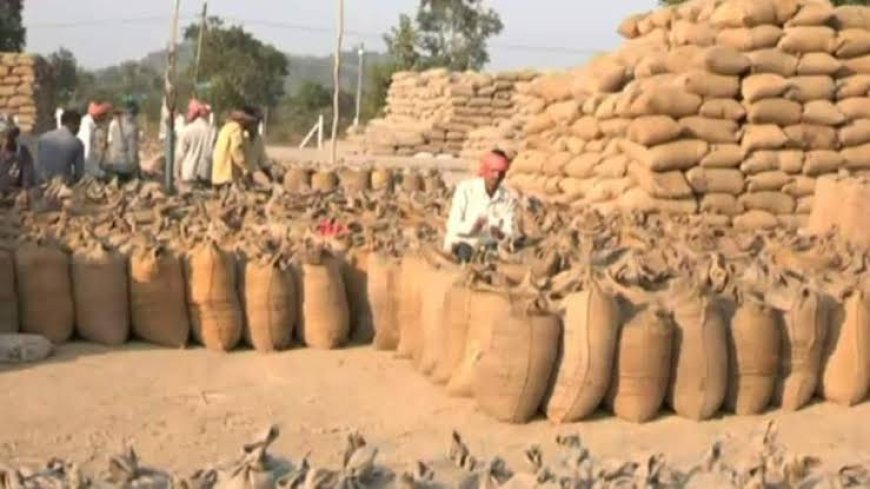 जिले में अब तक किसानों से 189605 मेट्रिक टन धान की हुई खरीदी...69 प्रतिशत धान का हुआ उठाव