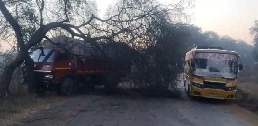 शराब से भरी गाड़ी शराबियों की तरह टकराई पेड़ से