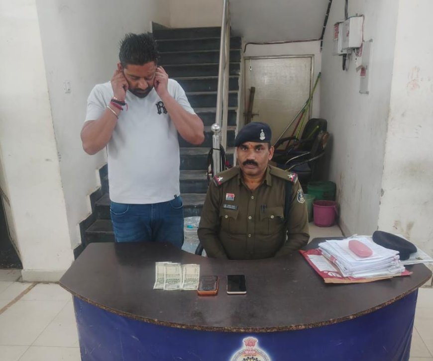 बिलासपुर: मोबाइल से IPL क्रिकेट सट्टा खिलाने वाला आरोपी गिरफ्तार, iphone समेत नगदी जब्त