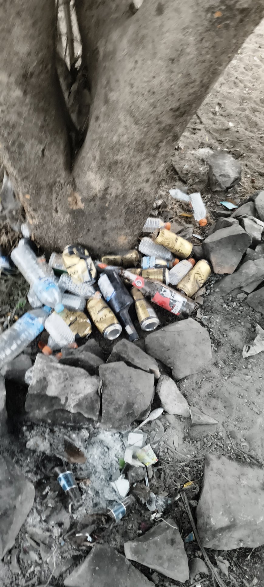 देवरी–चिचोली पिकनिक स्पॉट बना कचरा और टूटे शराब की बोतलों का अड्डा, बच्चों की सुरक्षा पर खतरा