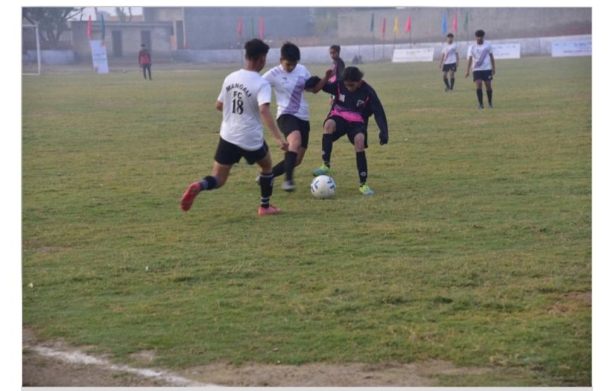 हरियाणा के छोटे से गांव अलखपुरा ने भारतीय महिला फुटबॉल को दिया बड़ा योगदान